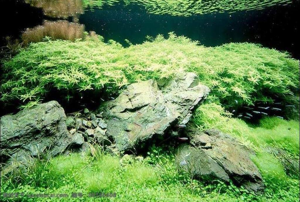 玻璃 贴图 鱼缸 贴 玻璃贴图 玻璃砖贴图 花纹贴图 鱼缸贴贴图 门窗玻贴图 鱼缸贴 3d模型素材 材质贴图