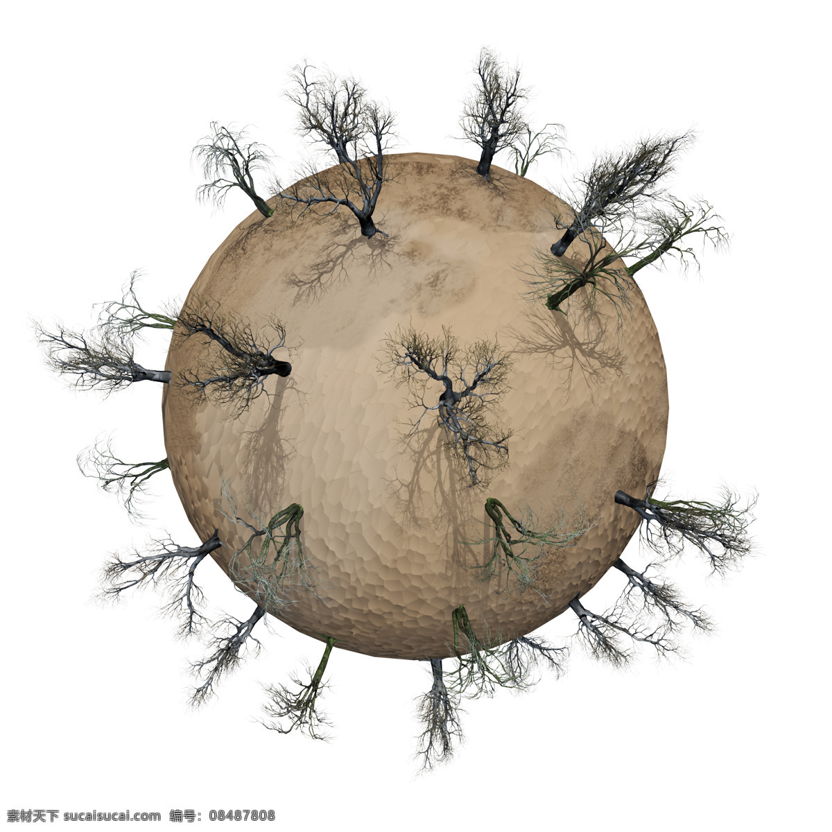 圆球 上 植物 大树 星球 图案 底纹背景 创意图片 环保 其他风光 风景图片