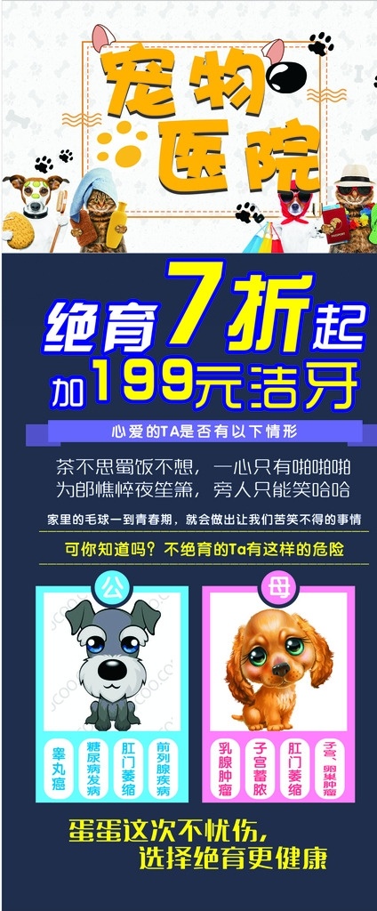 个性 宠物 绝育 展架 活动 宠物诊所 展板模板