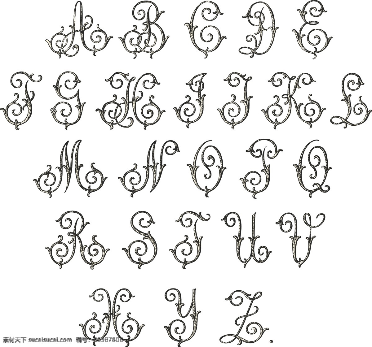 藤蔓 花纹 字母 矢量图 英文字母 艺术字 白色