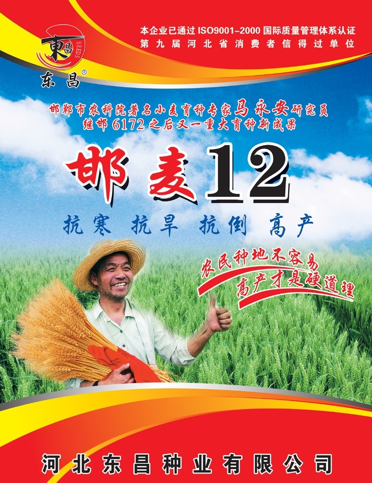 邯麦12 小麦种 东昌标志 农民 麦穗 麦田 麦地 各类彩页全集 国外广告设计 广告设计模板 源文件