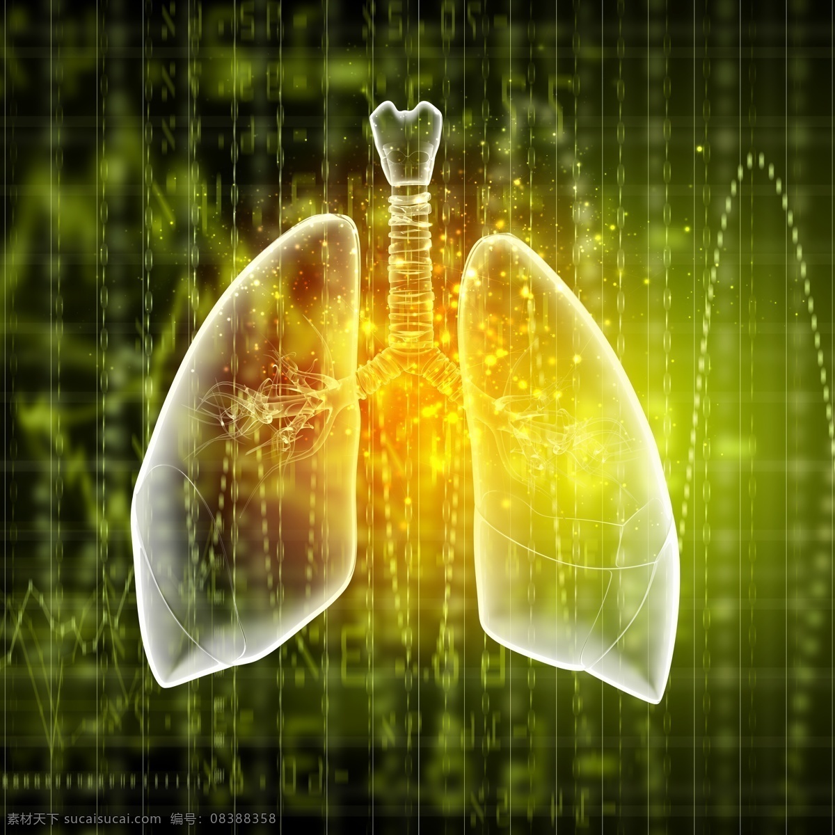 竖线 光点 人体 肺部 人体肺部 脏器 医疗护理 现代科技
