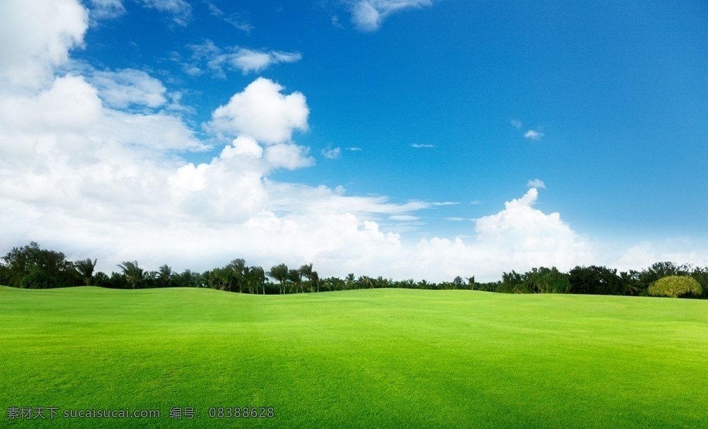 草地天空背景 草地 背景 风景 植物 天空 云朵 阳光 自然景观 自然风景