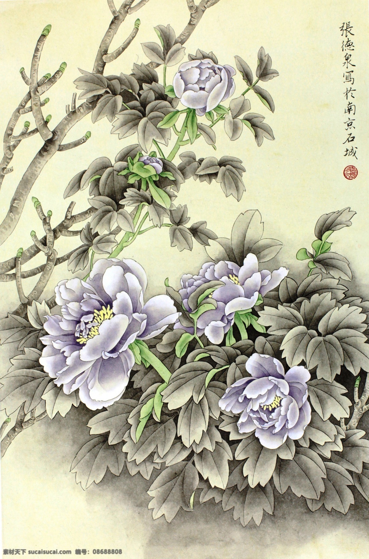 紫牡丹 牡丹 国画 花鸟画 工笔画 张德泉 绘画书法 文化艺术