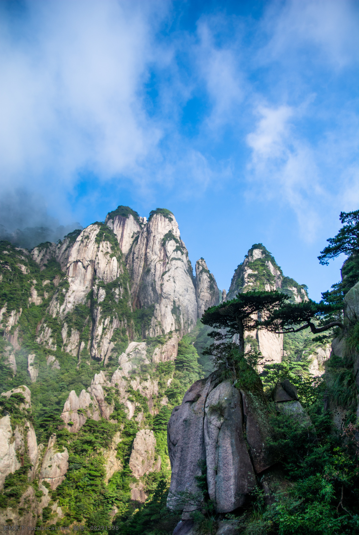 江西三清山 三清山风光 江西 风景名胜 上饶 三清山 远眺 三清山景观 清秀三清山 清山山峰 云海 松树 薄雾云雾 人间仙境 景区景点 青山绿树 树木 高山 白云 蓝天 绿草 自然遗产 自然风景 风景 自然景观