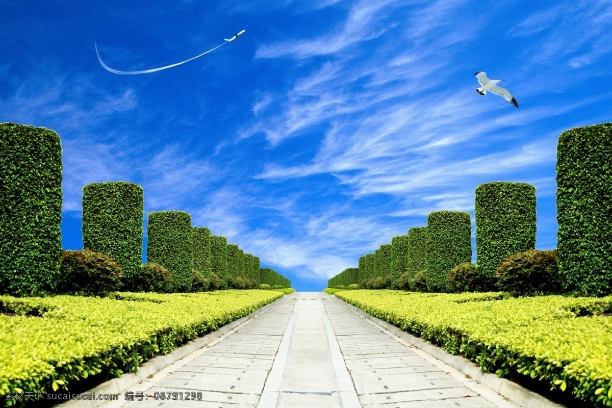 韩国 公园 风景 草坪 公园景观 蓝天白云 绿色道路 psd源文件