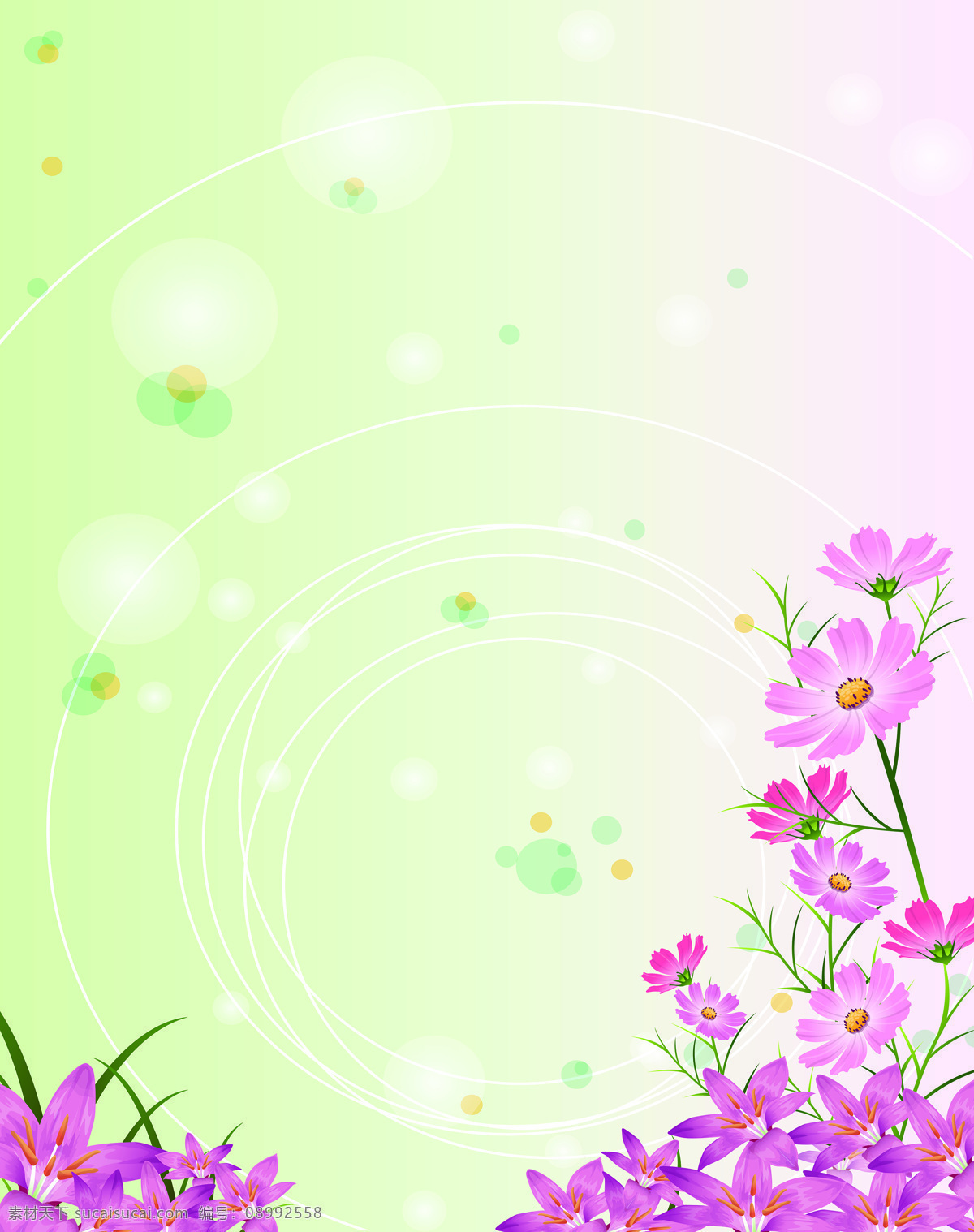 梦幻 紫色 花朵 背景 手绘 蝴蝶兰 边框 唯美 光圈