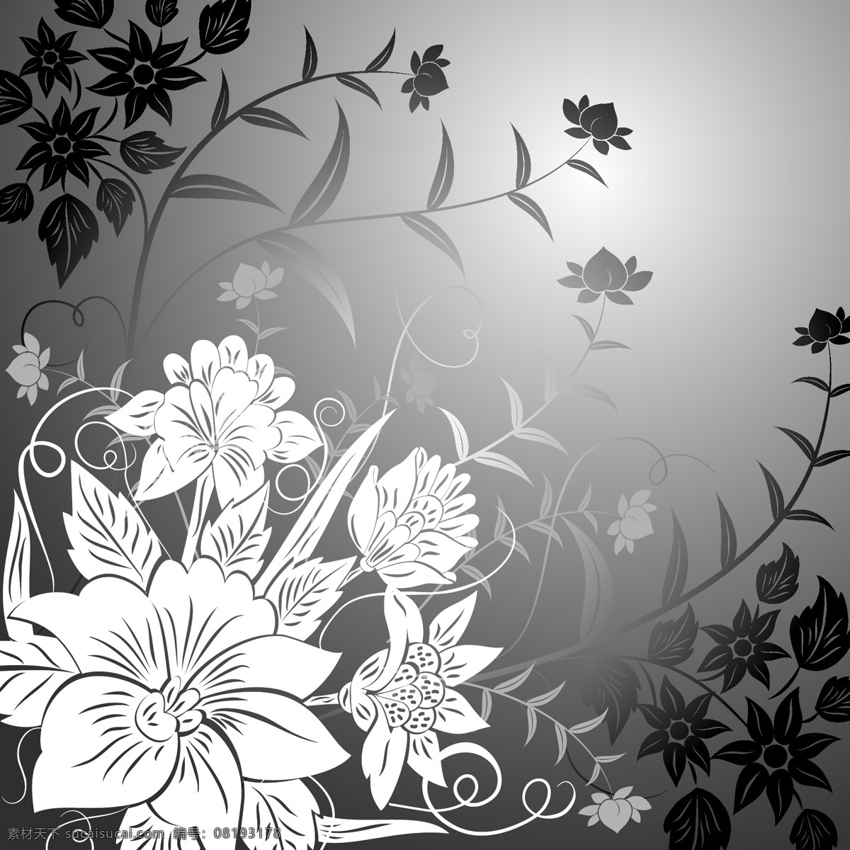 光照 花朵 矢量 光照花朵矢量 白色花纹ai 映射 花纹 矢量图 花纹花边
