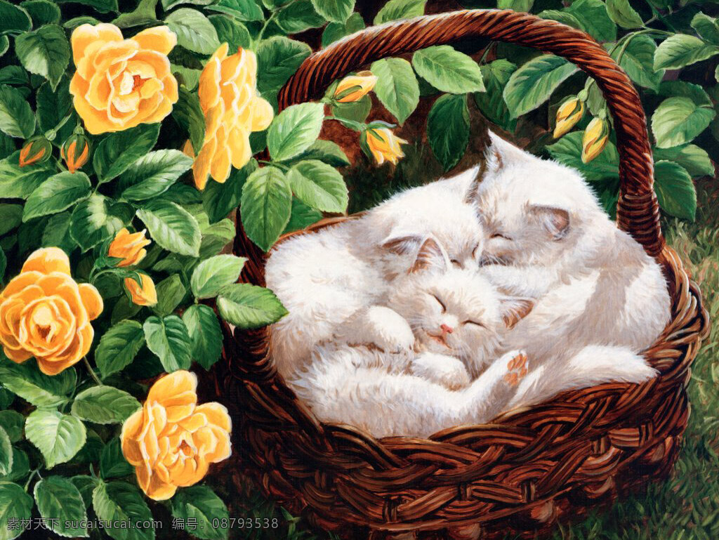 高清 油画型猫图3 油画 猫 白猫 竹篮 黄玫瑰 三只猫 文化艺术 绘画书法 设计图库