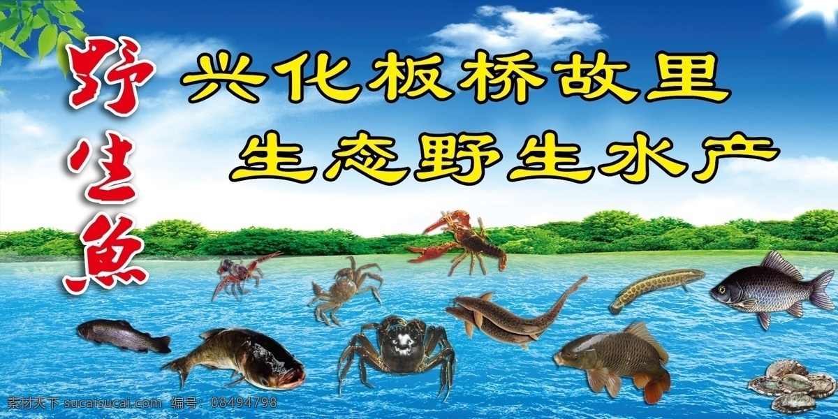 生态野生水产 鱼 螃 螃蟹 龙虾 泥鳅
