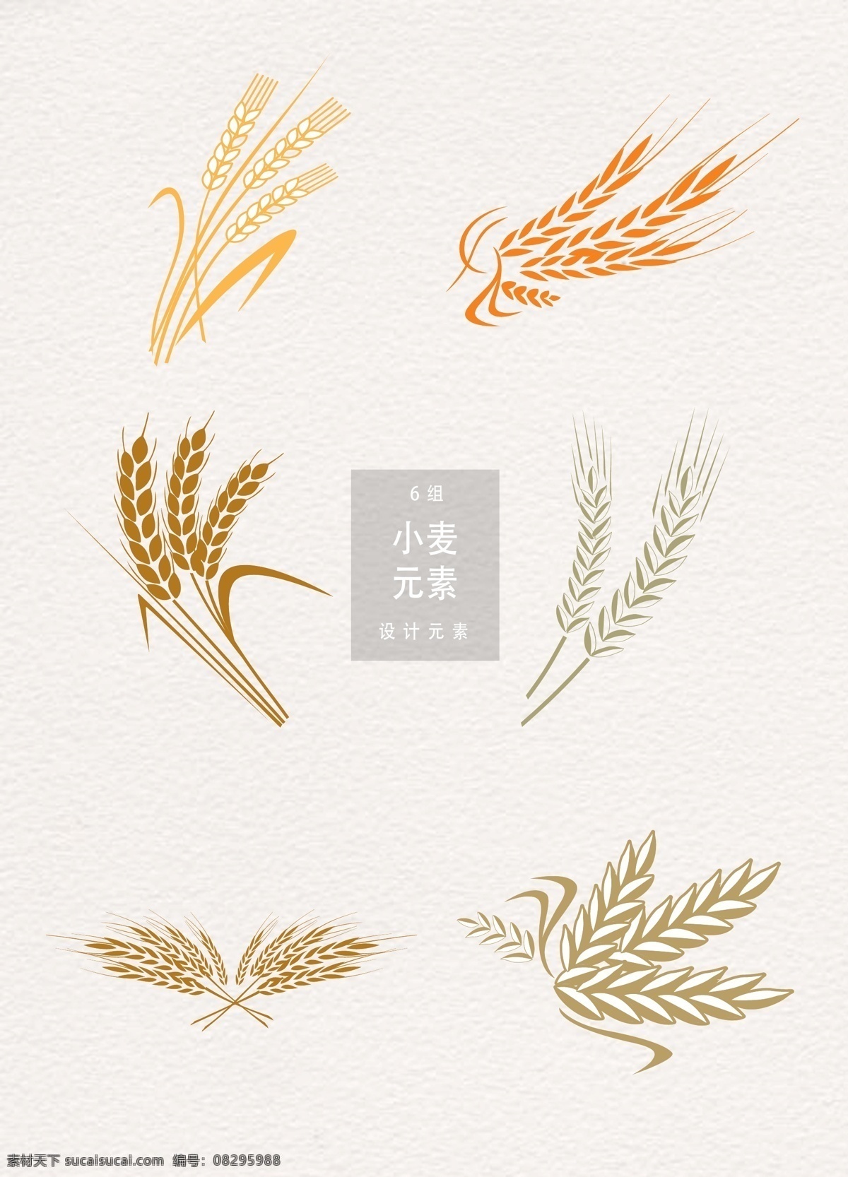 矢量 手绘 小麦 插画 设计元素 植物 麦穗 五谷 小满 二十四节气 传统节气 谷物 麦子 手绘小麦 小麦插画
