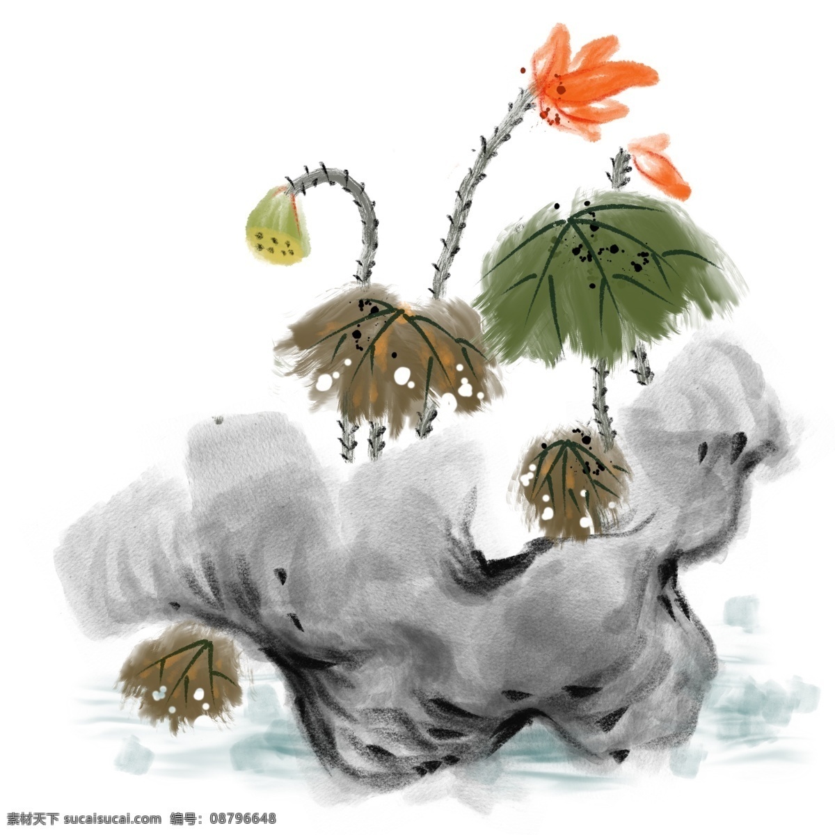 水墨 漂亮 荷花 插画 漂亮的荷花 卡通插画 水墨插画 植物插画 花朵插画 鲜花插画 水墨的花卉