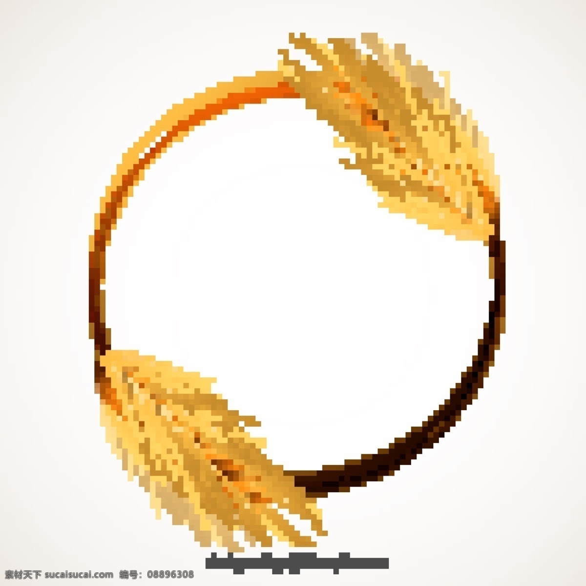 小麦穗框架 框架 黄金 边境 自然 小麦 植物 装饰 农业 玉米 穗 金框 谷物 收入 白色