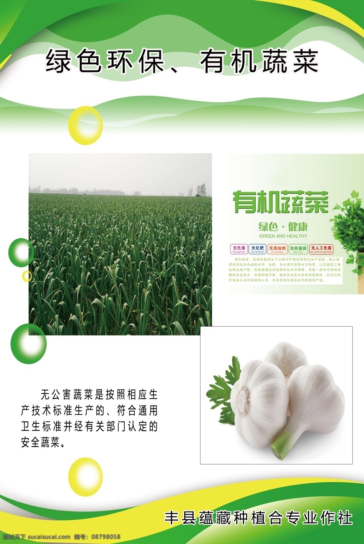 大蒜 1绿色 2食品 3有机 4蔬菜 5绿色环保 分层