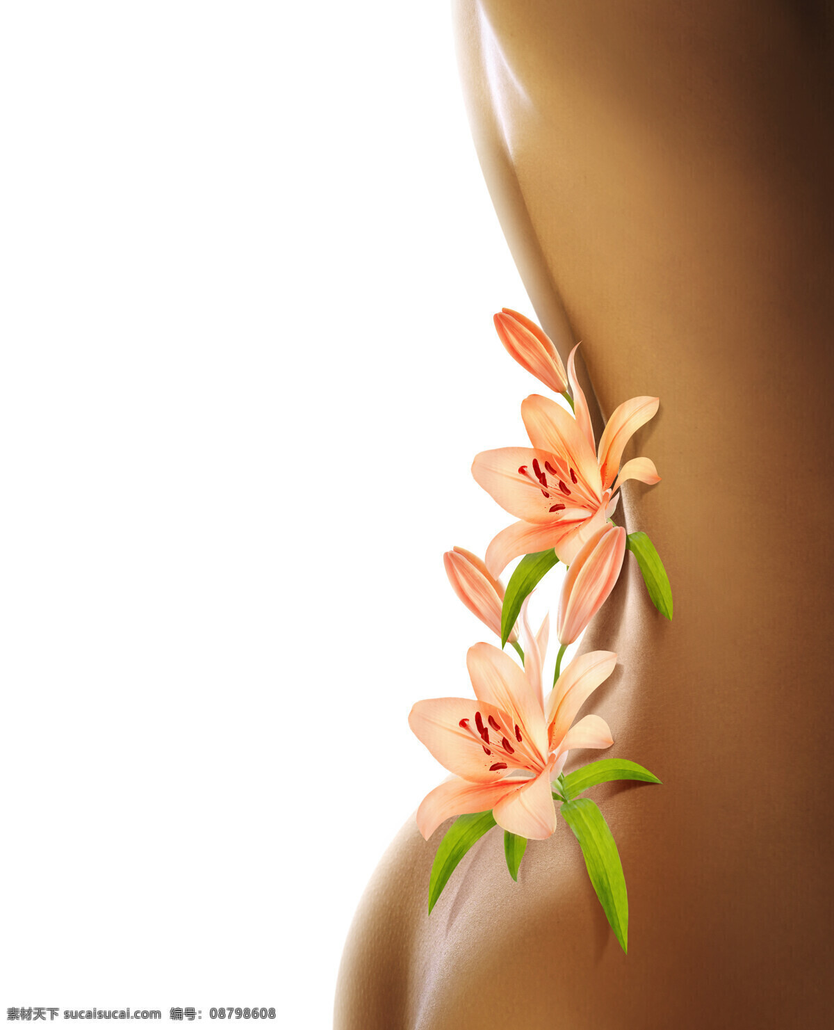 性感背部 背部 性感 女性 花 背景 人物图库 女性女人