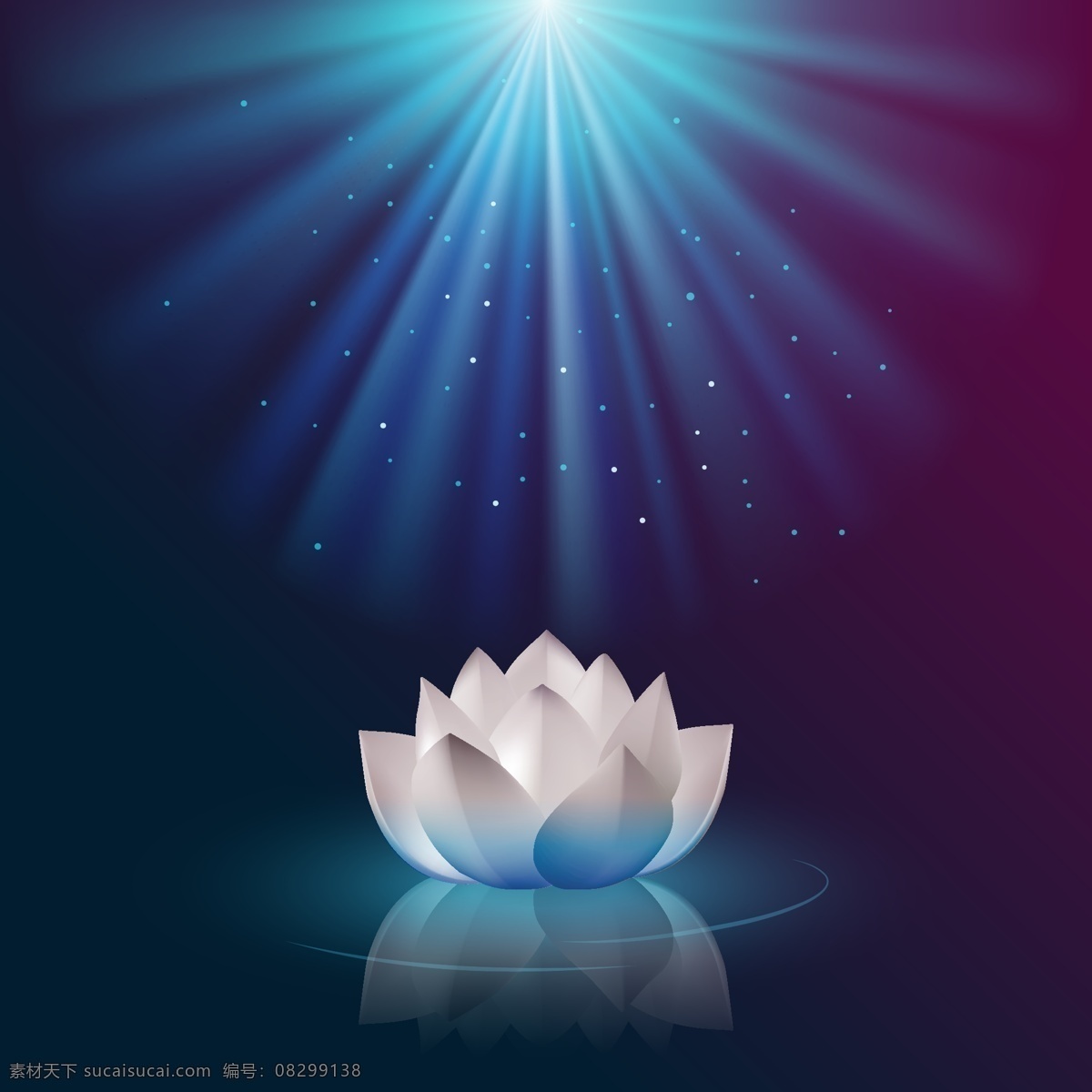 美丽 蓝 莲花 插画 植物 蓝色 蓝光 星光