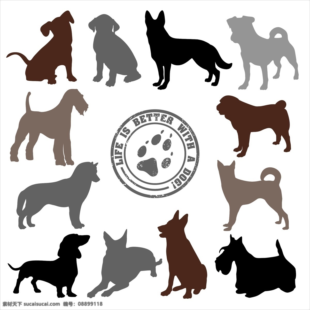 犬组 印花 动物 商店 剪影 宠物 狗 牛 骨 斗牛 狩猎 健壮 开朗 坑 梗 品种的牧羊犬 毛茸茸的 白色