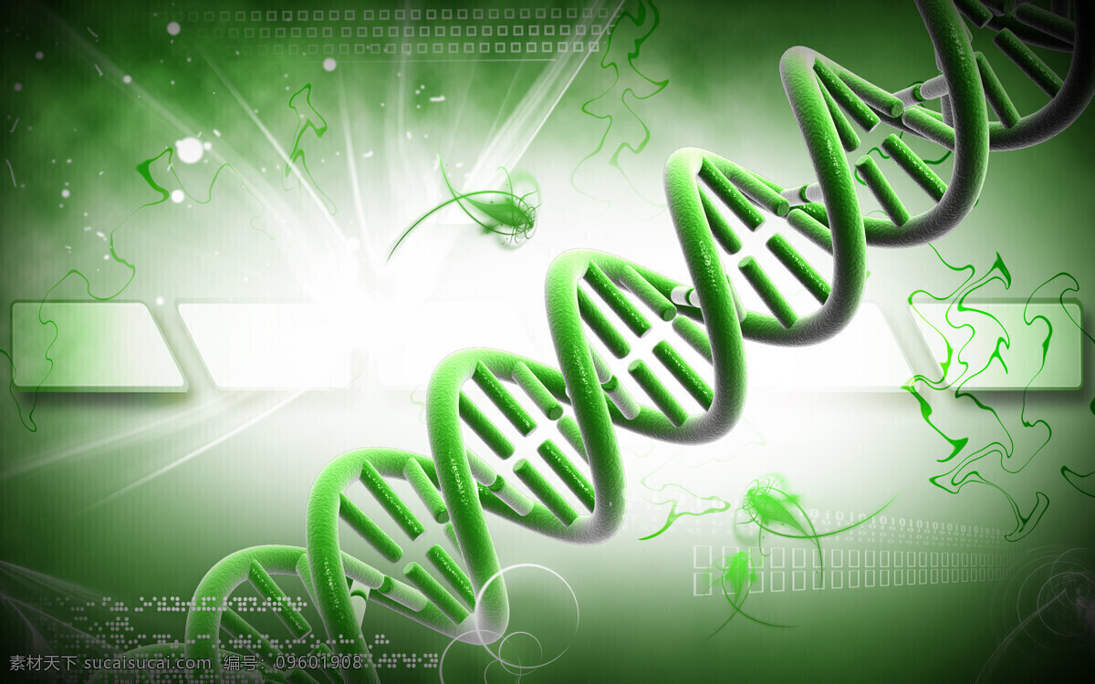 基因dna 基因 遗传基因 dna 医学 医疗 医疗保健 医疗护理 现代科技