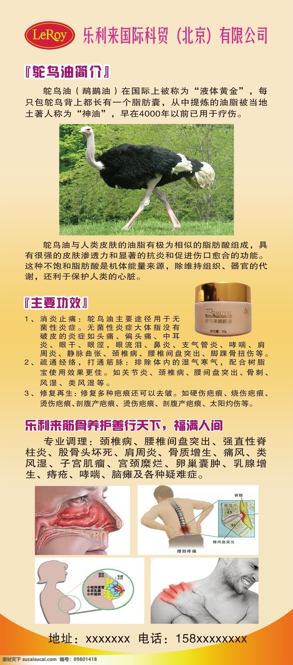 乐利来 展架 鸵鸟油 鸸鹋油 产品简介 筋骨养护 分层
