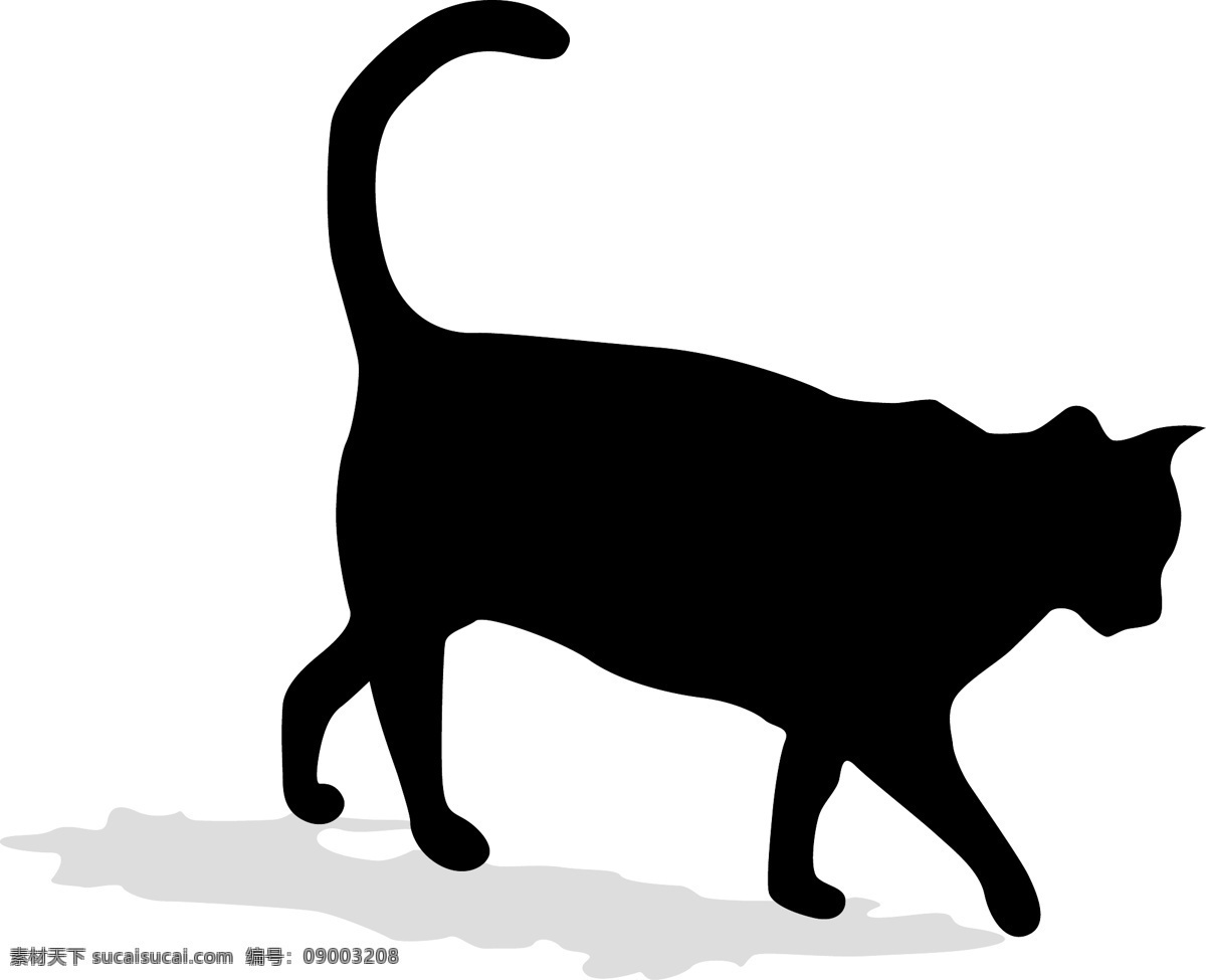 黑猫 诿噶克夭