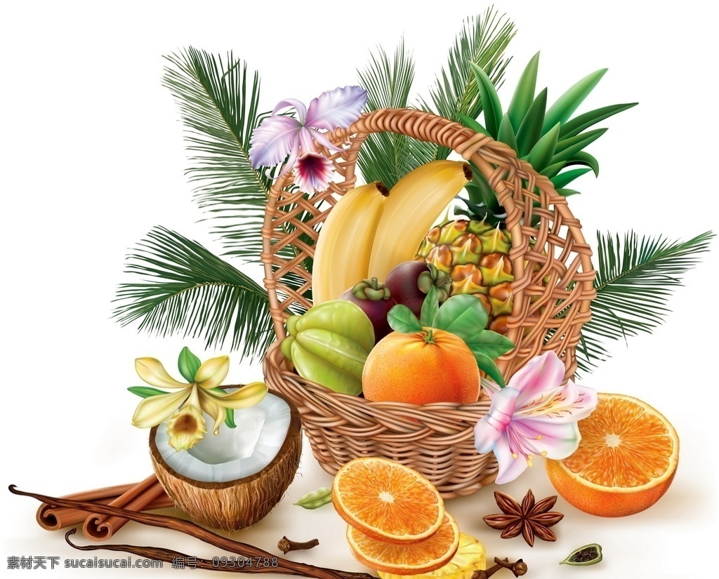水果集合 矢量水果 卡通水果 手绘水果 水果插画 水果图标 橙子 柠檬 芒果 西瓜 葡萄 樱桃 桃子
