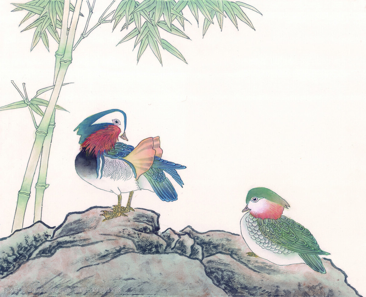 两 只 鸳鸯 图 绘画艺术 竹子 文化艺术
