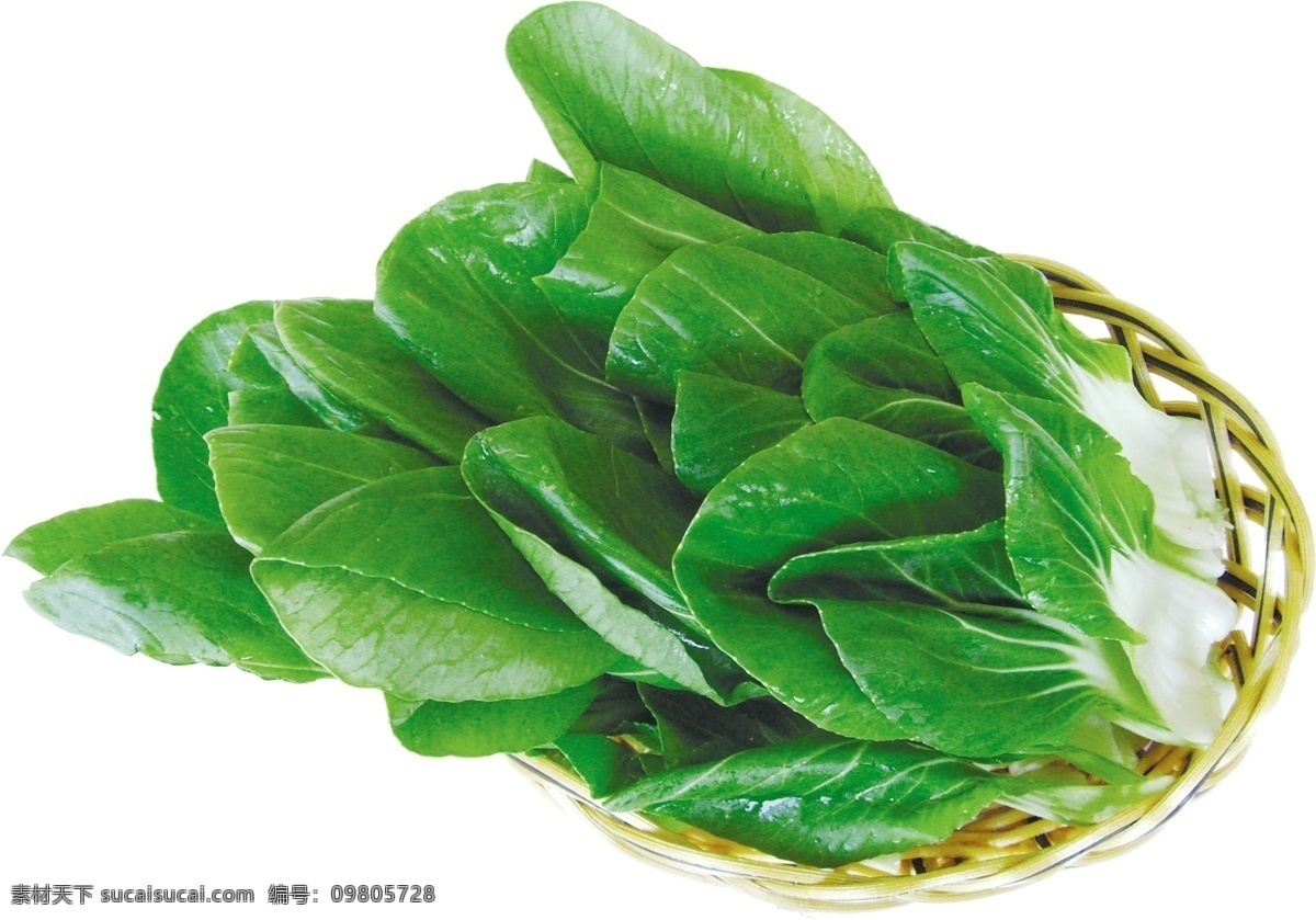 青菜 粮食 绿色 生物世界 蔬菜 水果 新鲜 有机 上海青 psd源文件