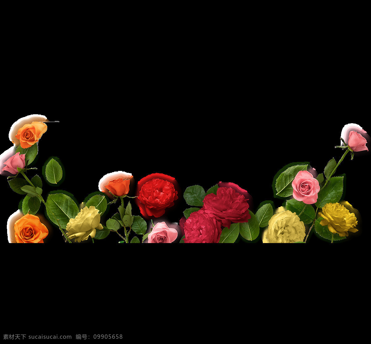 玫瑰 花卉 植物 边框 png元素 广告 海报 免抠元素 欧式 透明元素