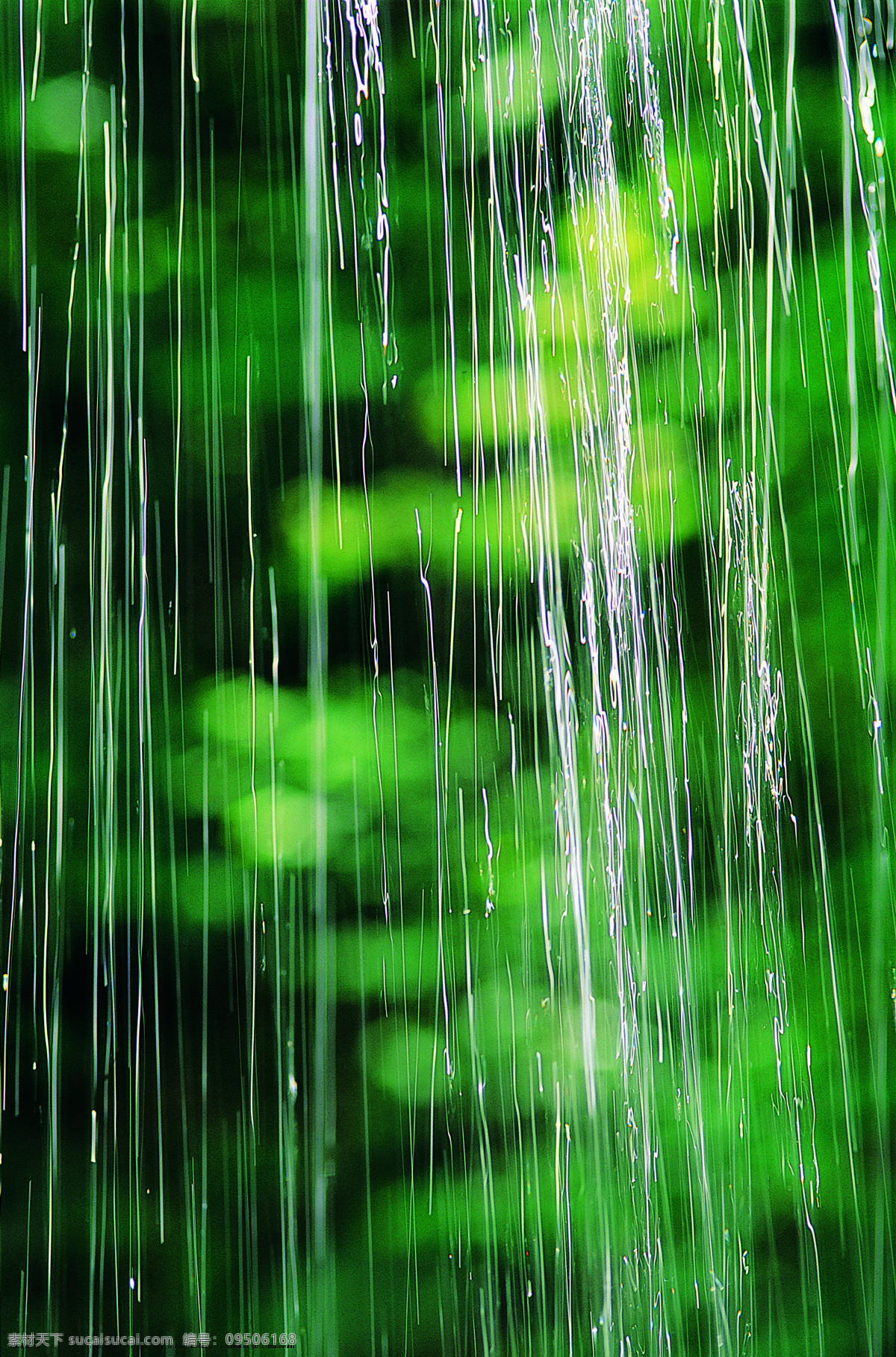 雨水 雨水草地 草地 模糊 下雨 夏天 水珠 露珠 背景底纹 自然风景 自然景观