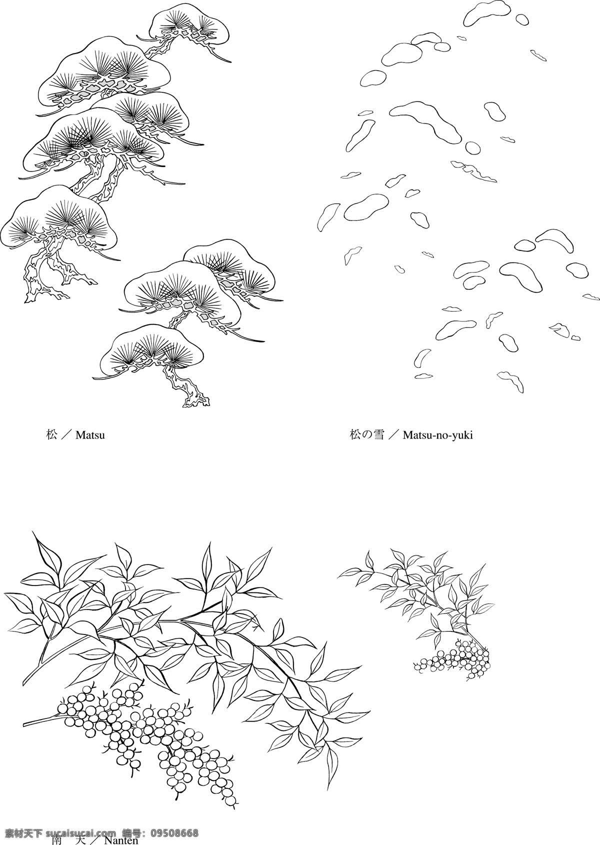 植物 花卉 矢量 松树 雪 南天