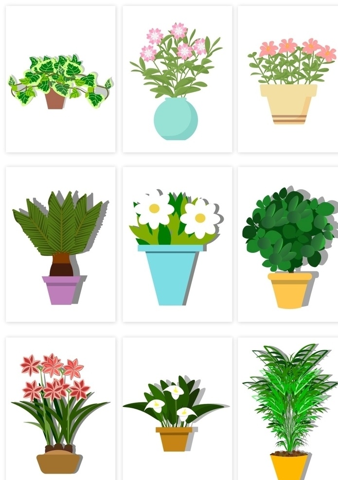 花盆盆栽 花盆 盆栽 花 菊花 郁金香
