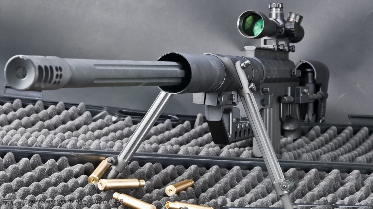 重型阻击步枪 狙击 步枪 武器 军事 装备 军事武器 现代科技