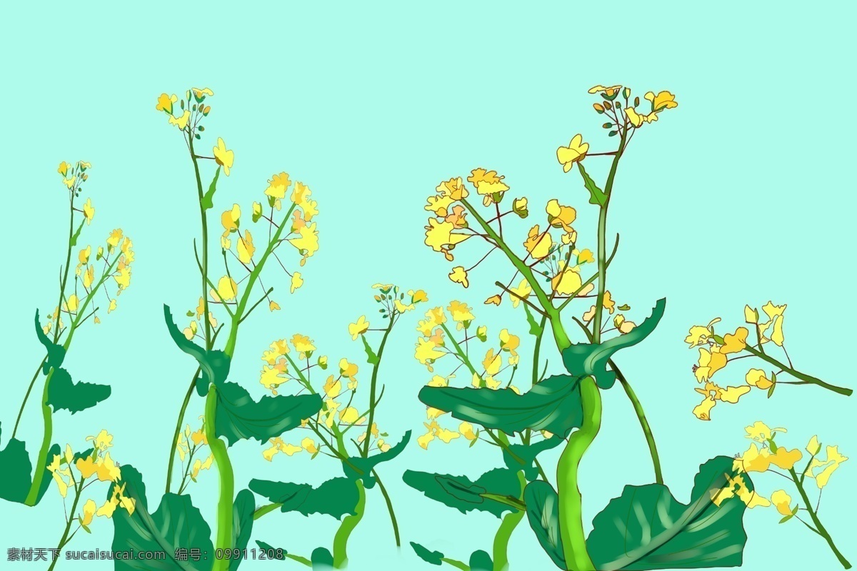 夏季 手绘 绿色植物 夏天 油菜花 繁盛花海 装饰插画 边框