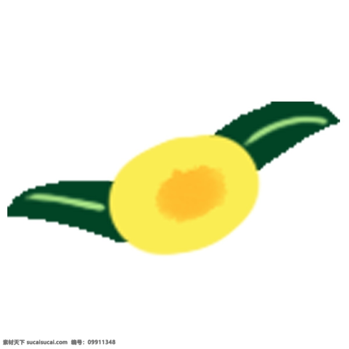 美丽 春季 花朵 鲜花 植物 卡通植物 卡通花朵