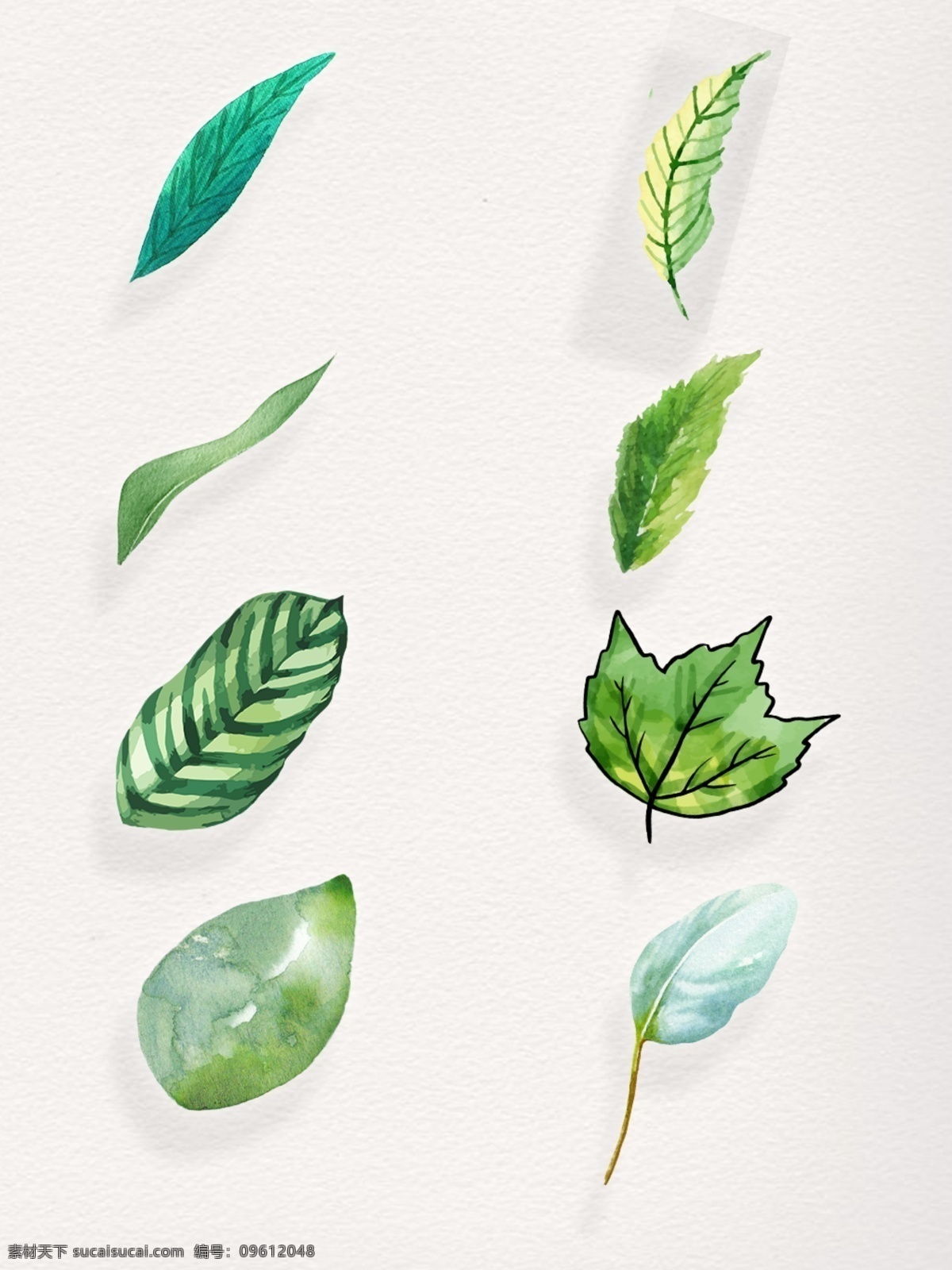 水彩 树叶 绿色 元素 卡通 绿色树叶 手绘 水彩树叶 小清新 植物