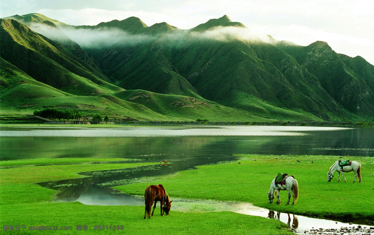 牧场之晨 牧场 早晨 绿山 碧水 水面 草地 草原 山峦 牧马 骏马 风景 自然风景 旅游摄影