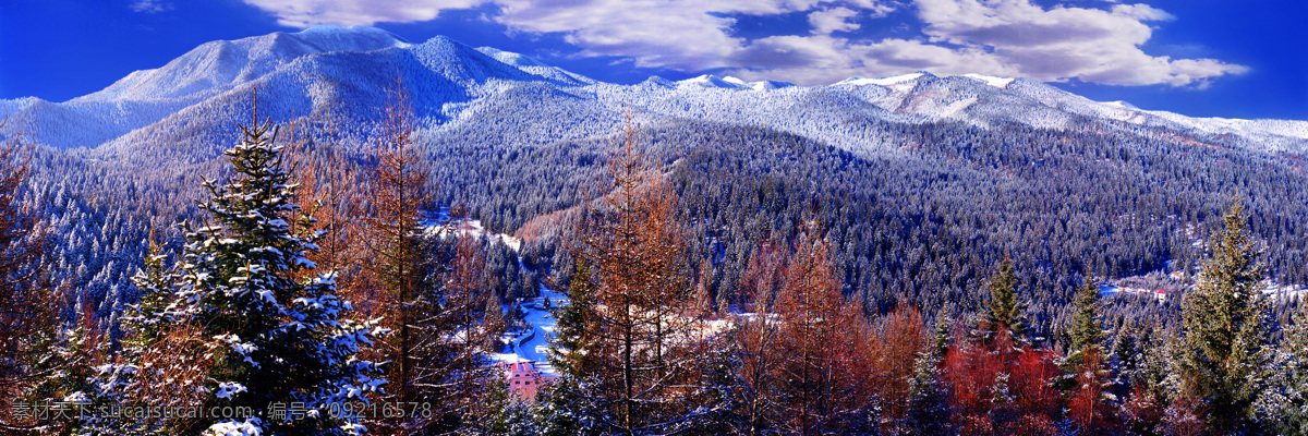 风景画 蓝天白云 森林 树木 雪景 雪山 自然风景 蓝天 白云 冶力关风光 山水景物 自认风光 自然景观 装饰素材 山水风景画