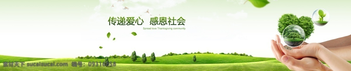 绿色 感恩 传递 海报 网站 网站轮播位 白色