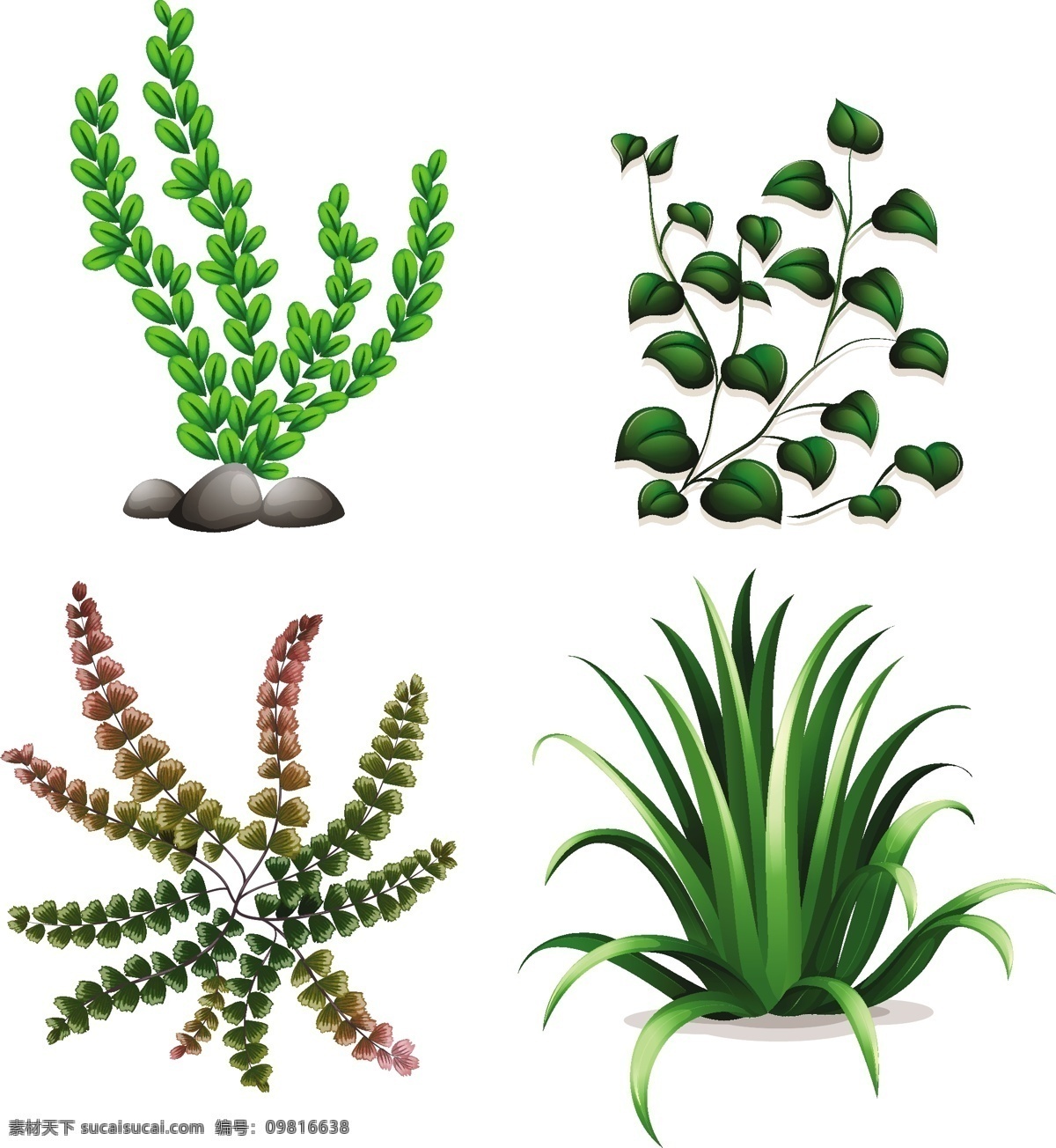 绿草 小草 绿叶 矢量 生物世界 花草