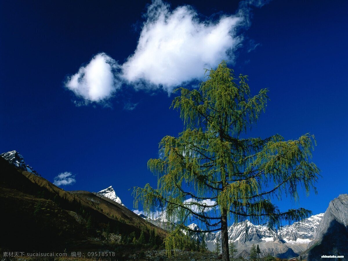 美丽大自然 大自然 风光 风光摄影 风光照片 风景 风景摄影 风景照片 摄影图 自然 自然风光 自然风景 风景照片素材 自然风光摄影 生活 旅游餐饮