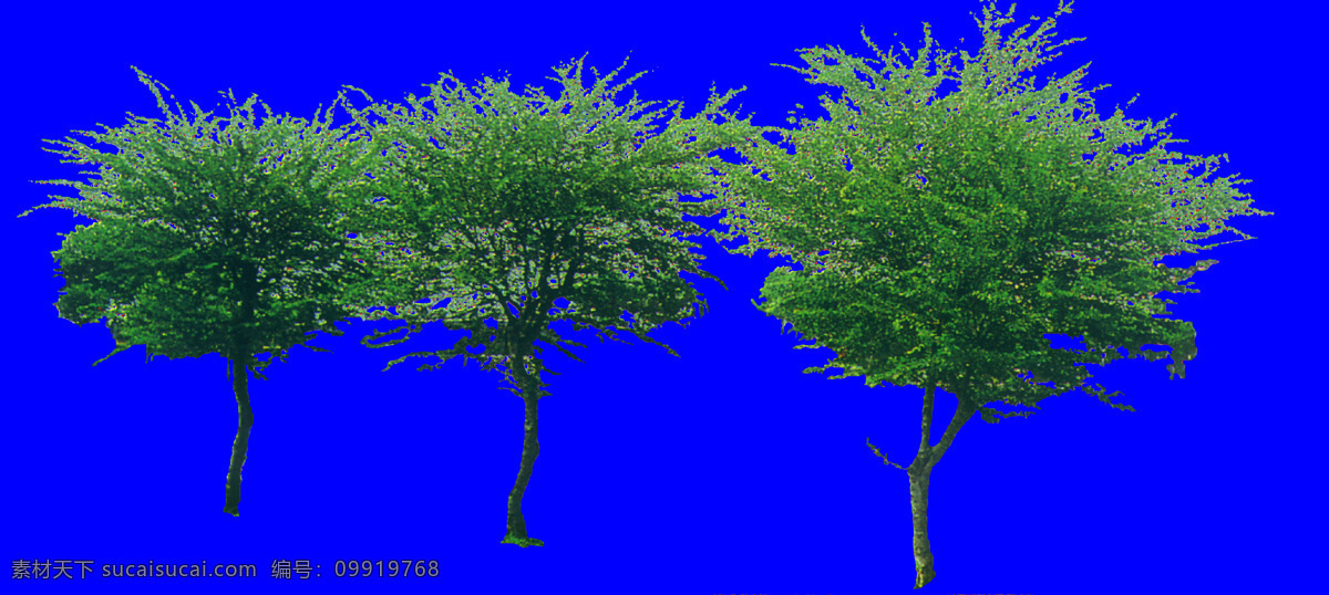 棵 树群 植物 多棵 配景素材 园林植物 园林 建筑装饰 设计素材 蓝色