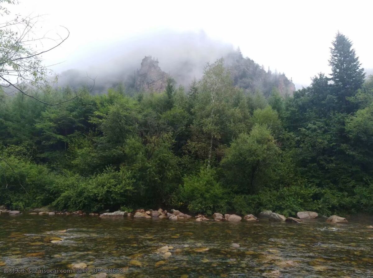 红松母树林 大海林林场 太平沟林场 云雾缭绕 山峰 自然景观 山水风景