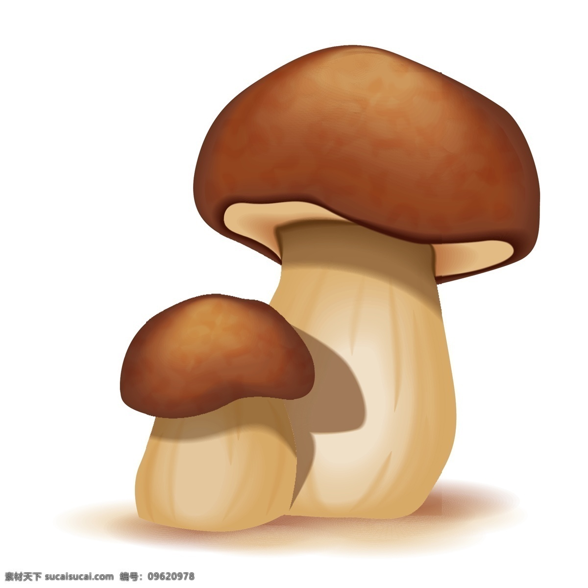 卡通蘑菇矢量 卡通 绘画 蘑菇 蘑菇设计 矢量蘑菇 蘑菇素材 食物蔬菜 蔬菜 水果 生物世界 矢量素材 白色