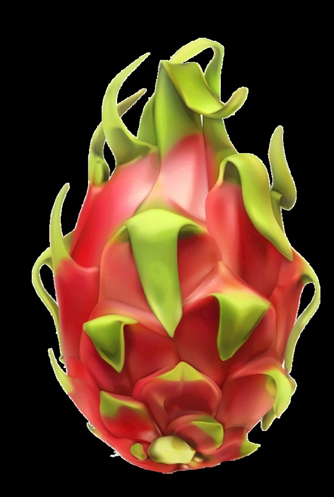 火龙果图片 火龙果 火龙果素材 红色火龙果 一个火龙果 生物世界 水果