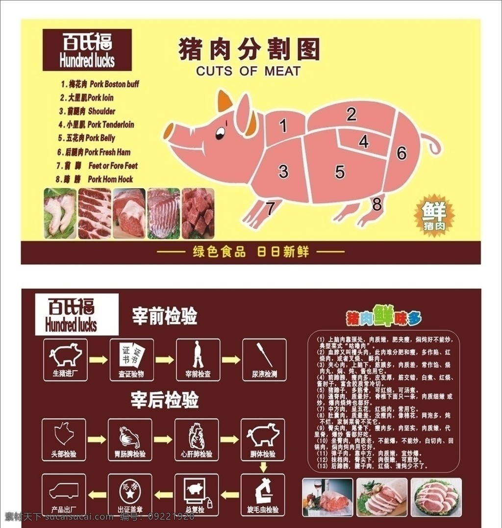 猪肉分割图 猪 猪肉 分解 矢量