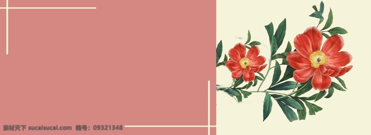 七夕 情人节 鲜花 背景 边框 花卉 植物 喜庆 爱情 婚姻 婚庆 教育 红色