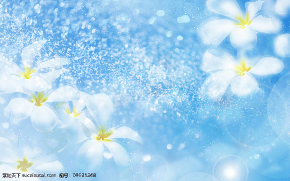 蓝色 淡雅 花朵 背景 图 梦幻背景图 设计背景图 jpg背景图 背景图片