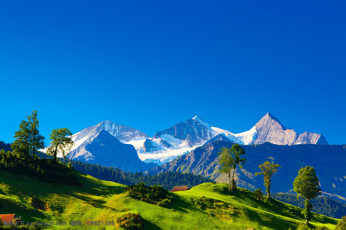 阿尔卑斯山 欧洲 雪山 山峦 树木 山峰 自然 景色 高清 自然风景 自然景观
