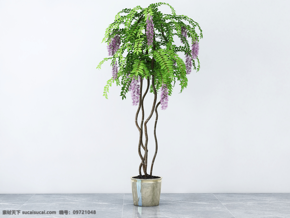 盆栽 装饰品 工艺品 艺术品 装饰 室内装饰 室内植物 室内软装 绿色植物 饰品装饰 绿植盆栽 生物世界 花草