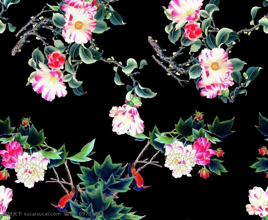 牡丹花图片 牡丹 牡丹花 大牌花 花卉 花朵